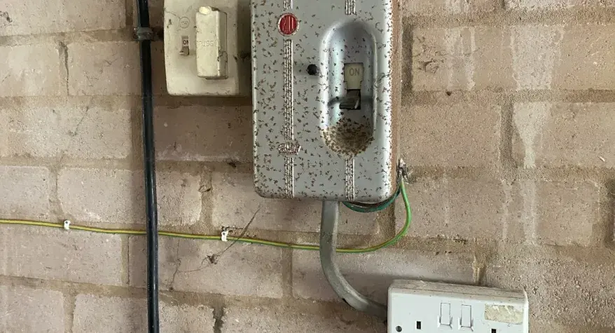 Fuse Board Upgrade in Shrewsbury